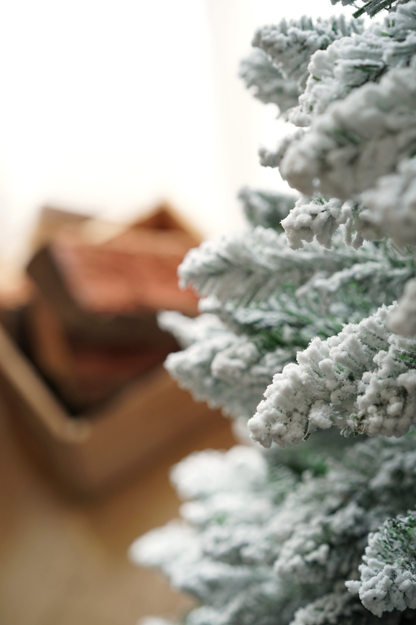 Snowy Pencil Pine – The Elegance of Winter (2.1M)