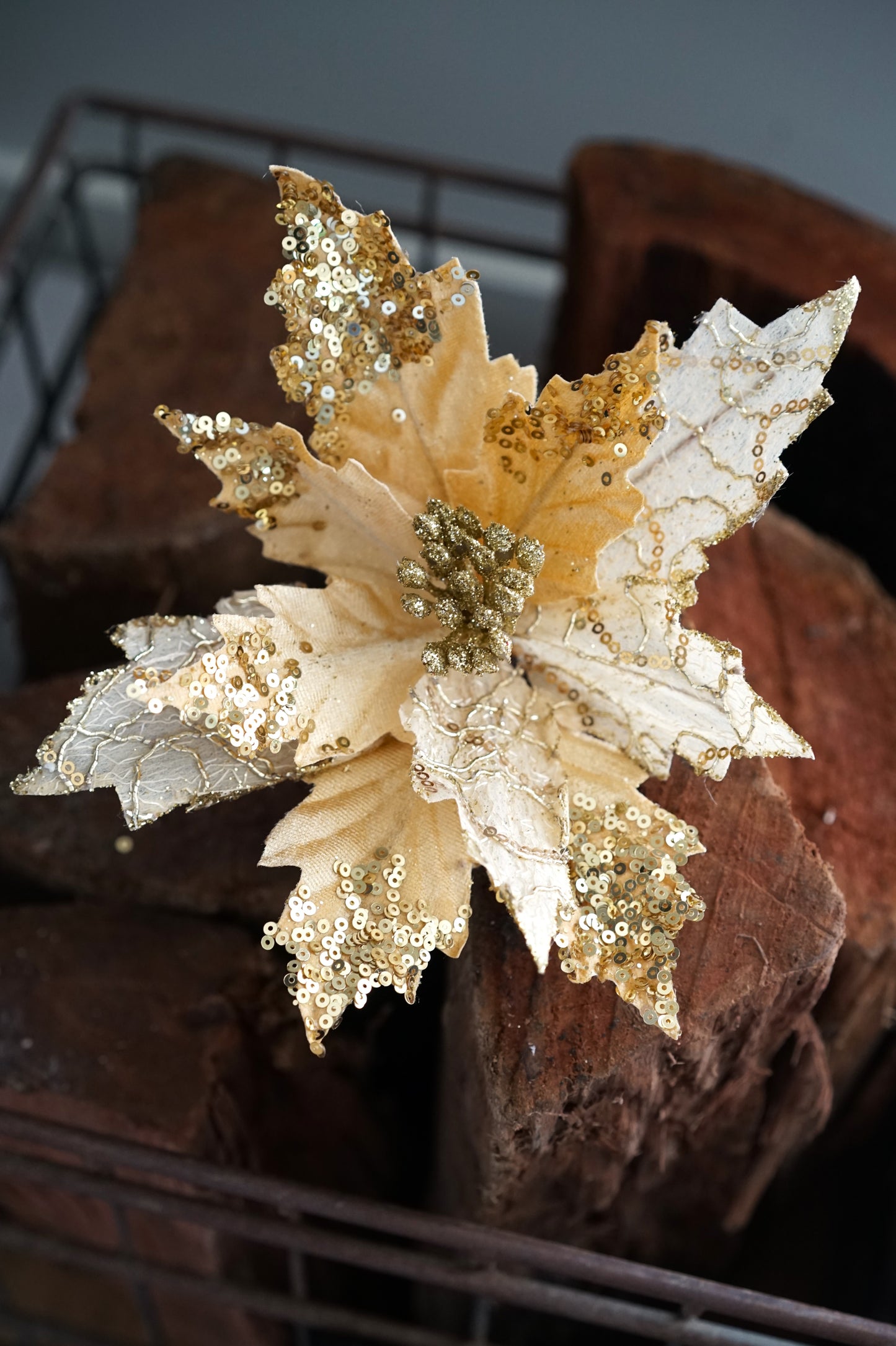 Blossom Christmas Flower