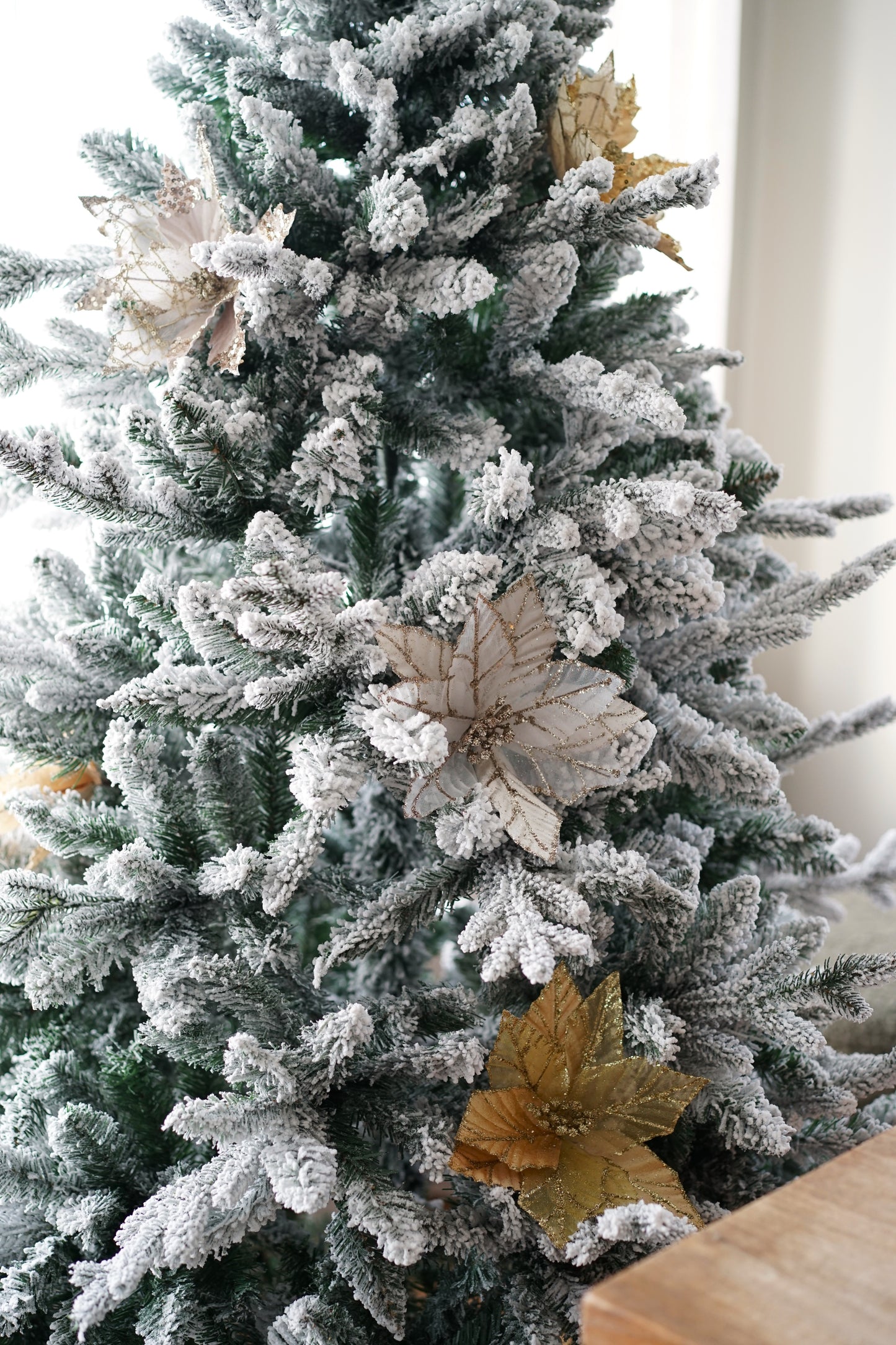 Blossom Christmas Flower