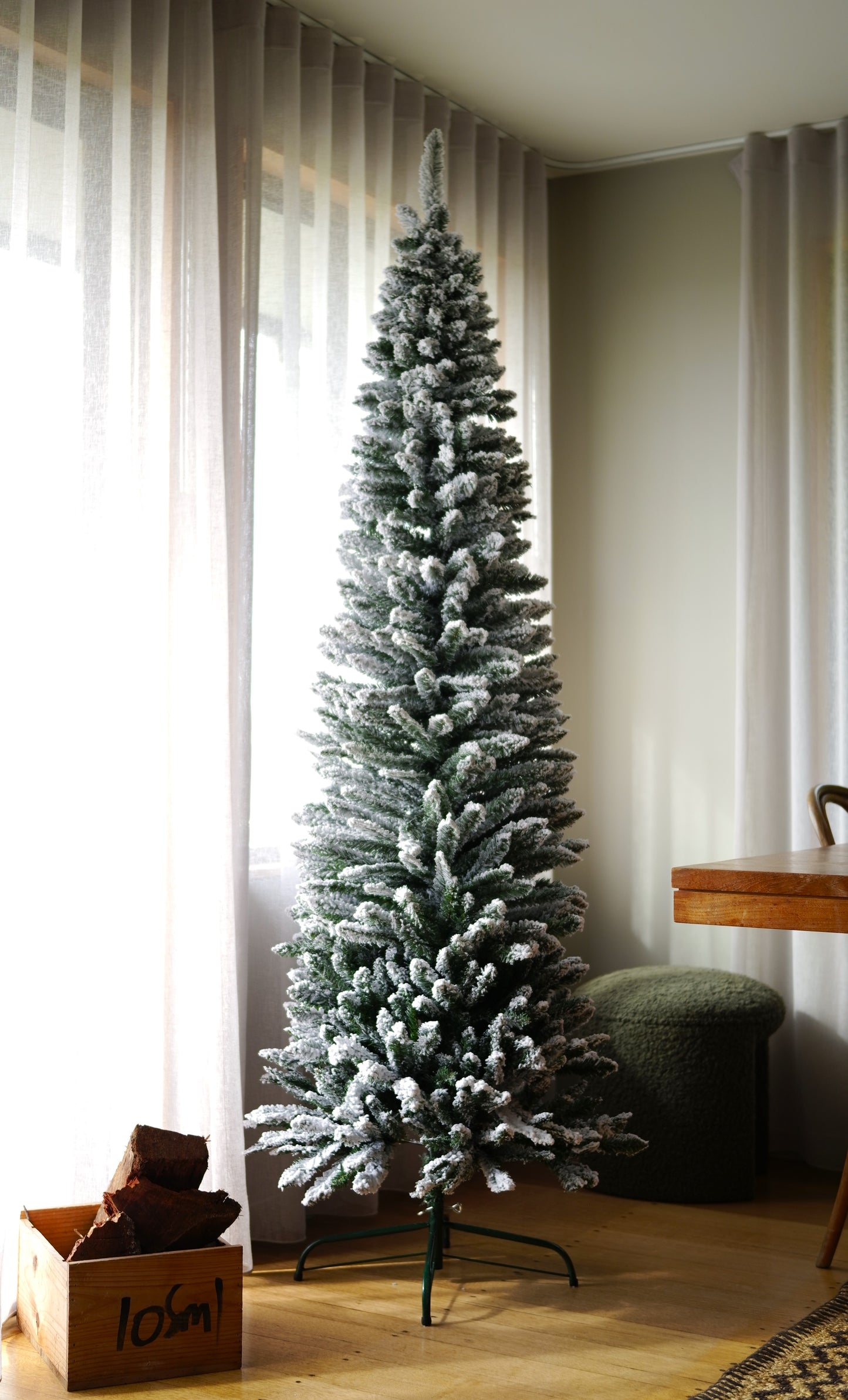 Snowy Pencil Pine – The Elegance of Winter (2.1M)