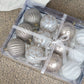 Regal Festive 8CM Bauble Collection (Set of 12)