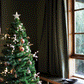 The Fruitful Xmas