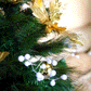 The Bursting Bloom