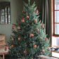 The Traditional Delaware Pine