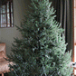 The Traditional Delaware Pine